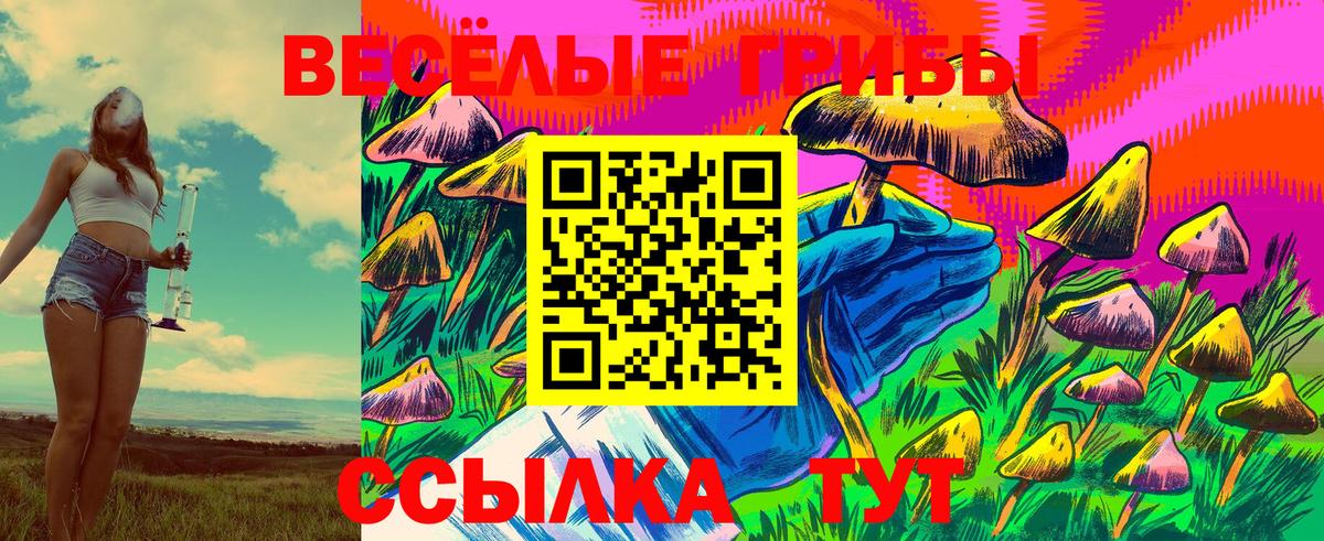 Галлюциногенные грибы Cubensis  Галлюциногенные грибы мицелий  Вход с VPN  Уварово 